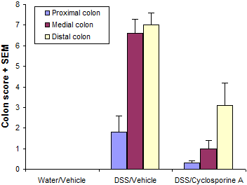 Typical results of histological analysis