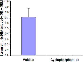 Week 46 ELISA (anti-dsDNA antibody in serum